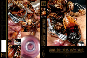 蜚蠊に難い雌襞と姦蝕に斑液