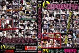 風中の少女 総集編 VOL.3