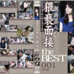 一般応募人妻猥褻面接 the BEST 001