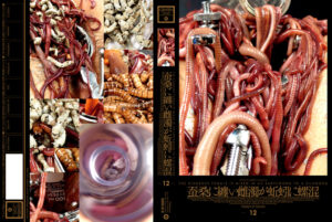 蚕桑に纏い雌濁が蚯蚓に螺混