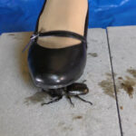 復刻版めいの私服パンプスでカブトム○クラッシュ VOL2