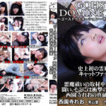 ゴーストドミネーション 不都合過ぎる真実