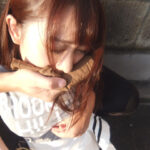 ラクロス部女子ピンチ！（弥生みづき）