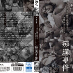 事件簿 とある沿線に出没する変態サラリーマン 痴漢事件