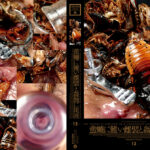 蜚蠊に難い雌襞と姦蝕に斑液