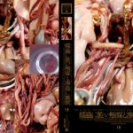 蠕蟲に脆い触媒と滲姦に雌獣