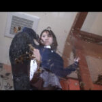 ザリガニクラッシュ＆カブトムシ、クワガタクラッシュ