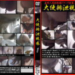大便排泄視感1