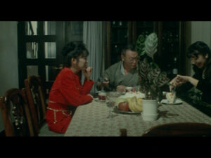 令嬢たちの狂乱 ダブル縄祭り