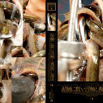 泥鰌に奮い淫触と糞膜に潅沃