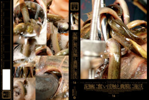 泥鰌に奮い淫触と糞膜に潅沃