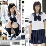 白と黒のあいだ 葵こはる