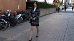 美しい若奥様のわくわく変態亀虐め