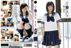 白と黒のあいだ 葵こはる