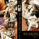 桑蚕に寂滅と姦淫に淡い膣窪