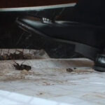 みくちゃんのローファーでカブトムシCRUSH VOL1