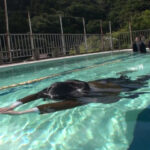 第3種目 潜水対決