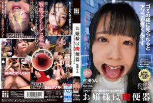 お嬢様は肉便器 生田りん