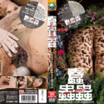 蠢蟲蟲～64×4000～