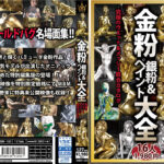 金粉銀粉＆ペイント大全 究極のウエット＆メッシー