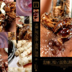 蜚蠊に嗤い蚕桑と膣緩に潰瘍