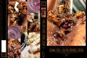 蜚蠊に嗤い蚕桑と膣緩に潰瘍