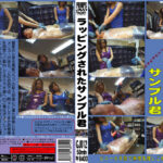 ラッピングされたサンプル君