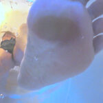 肉感的バーチャ圧迫責めPART3