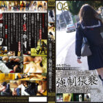 住居不法侵入○制猥褻肉便器調○－。02