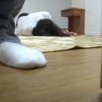 泥○して帰って来た姉を○す弟の○撮映像