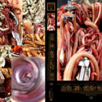 蚕桑に纏い雌濁が蚯蚓に螺混