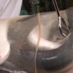 うなぎ○大研究 1