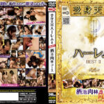 受身天国ハーレム2BEST 酒池肉林コース