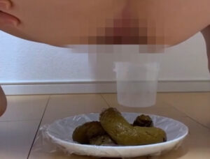 ぽっちゃり妻自撮りバーチャル便器調○