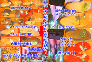 カエルをグニャリと踏むツキメ様！コオロギ踏みも！