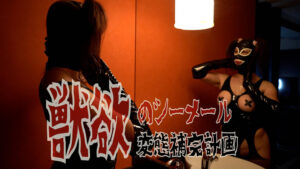 獣欲のシーメール