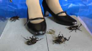 復刻版めいの私服パンプスでカブトム○クラッシュ VOL1