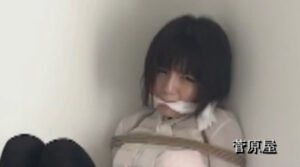 菅原花音・星乃華 － 「愛の錯覚」特別編集動画