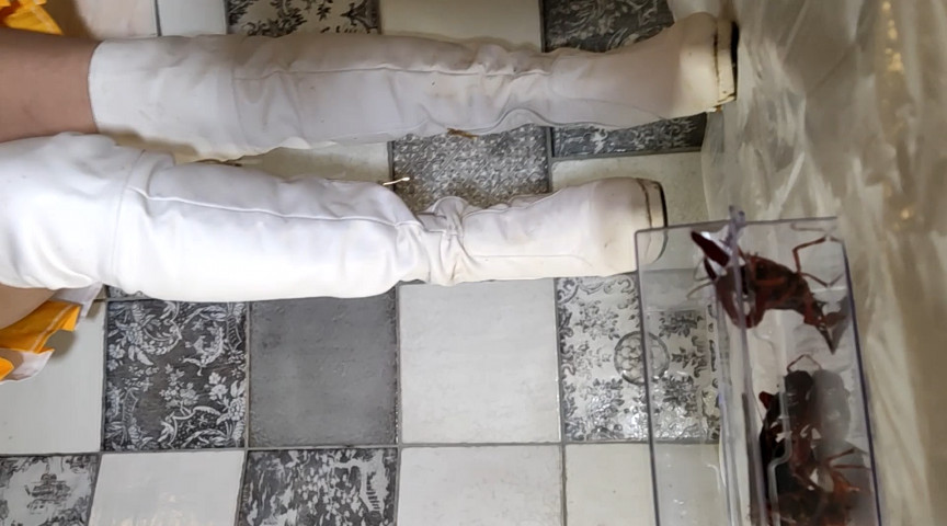 あみちゃんのカラーガード隊でザリガニ駆除白ブーツ編