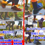 「カタツムリ踏んだー！」生き物を踏み潰し喜ぶ妖精たち