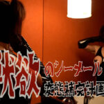 獣欲のシーメール