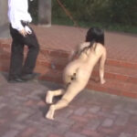 【動画】奈落の深窓令嬢 家畜人への零落 PART1