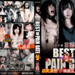BEST OF PAIN GATE 贄