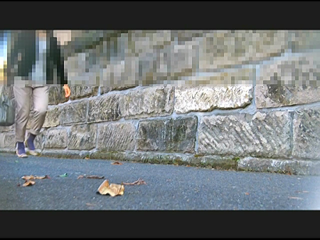 お嬢様がトンボとカタツムリを踏みにじって歩き去る！